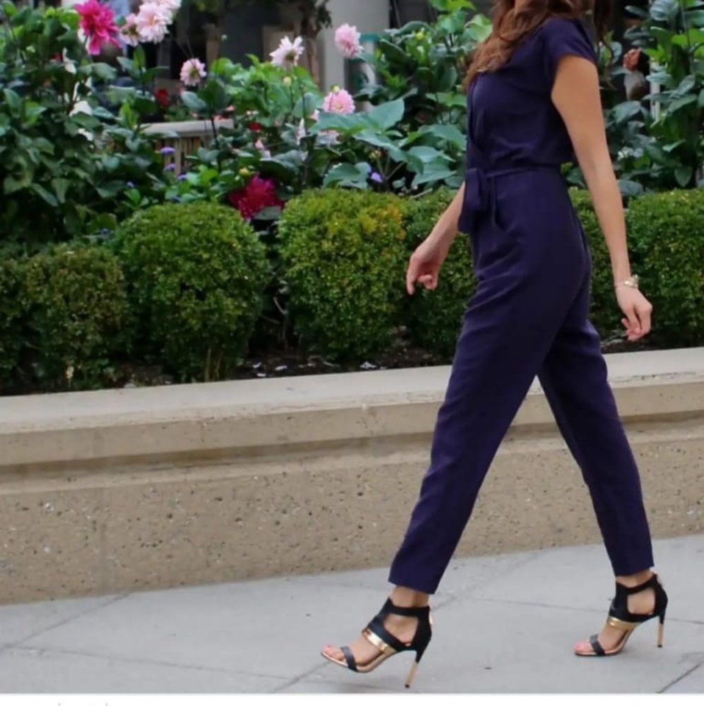 Aritzia Babaton Leonardo Silk Jumpsuit